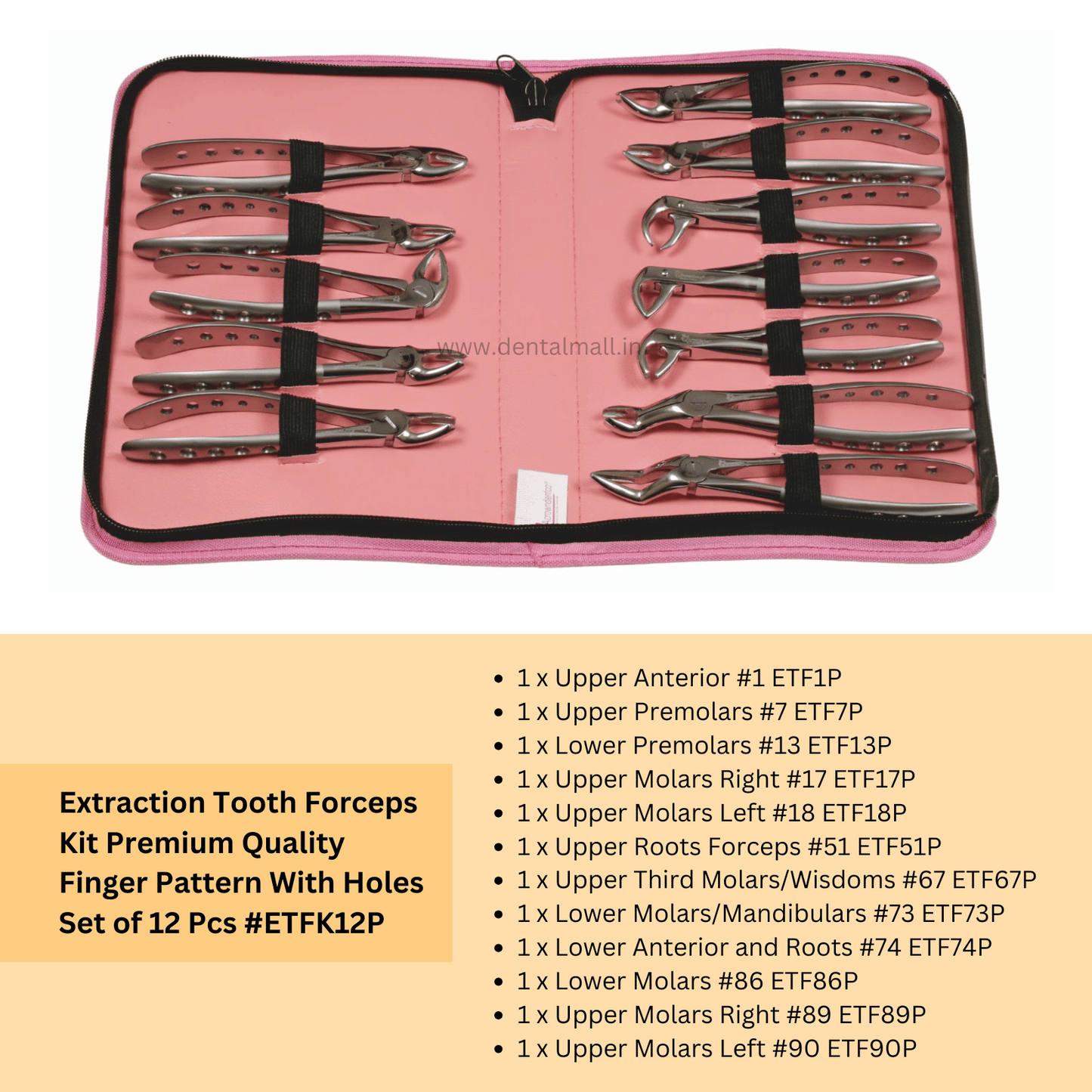 XpertOffer #II – Premium Offer Package Ideal for New Clinic Set-up | Includes 8 Premium Kits 🎁 FREE Safari Trolley Bag Included