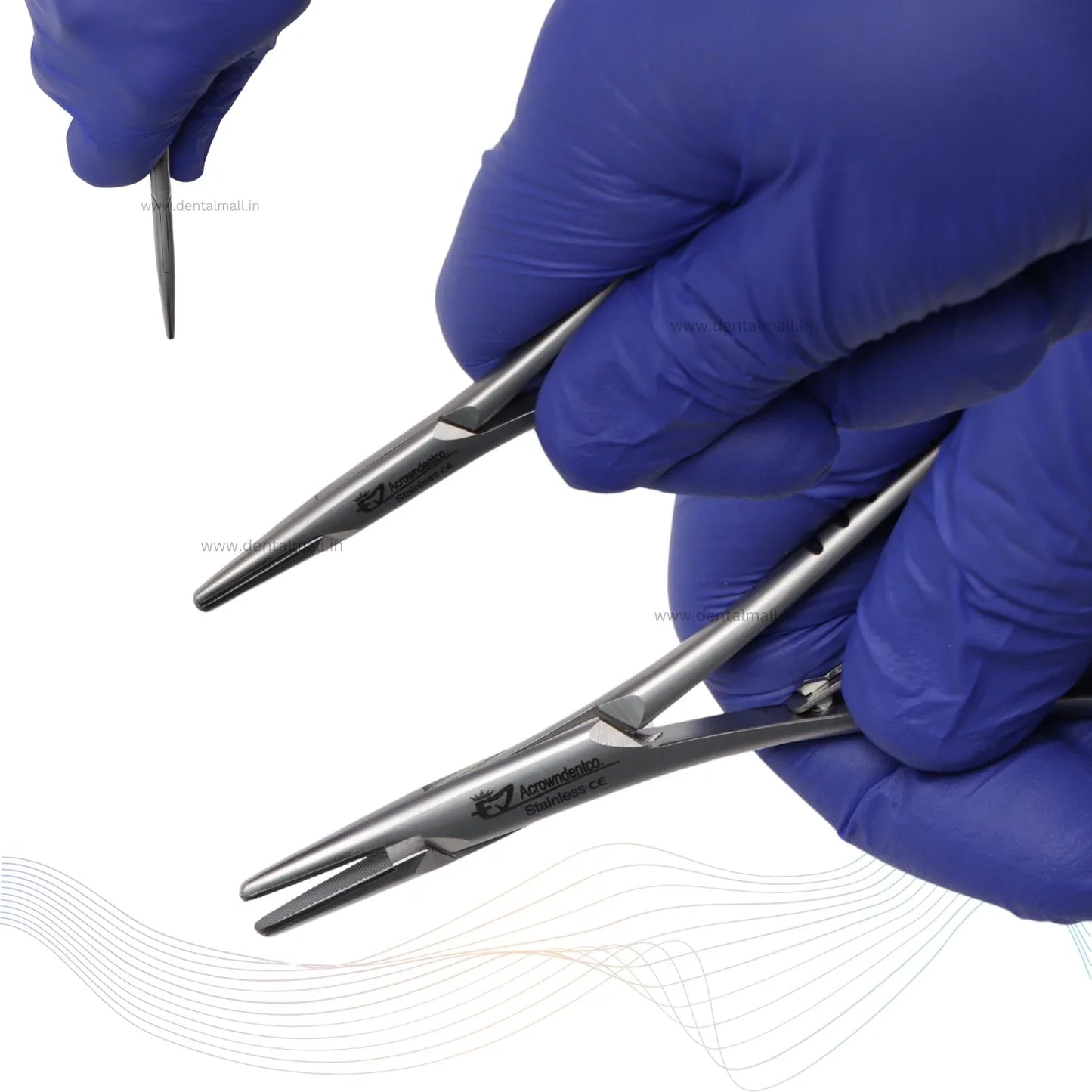 Hands wearing blue gloves holding a pair of surgical forceps on a white background