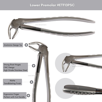 Extraction Tooth Forceps Kit Premium Quality Finger Pattern with Cut Handle Matte Sandblasting Finish, Set of 12 Pcs