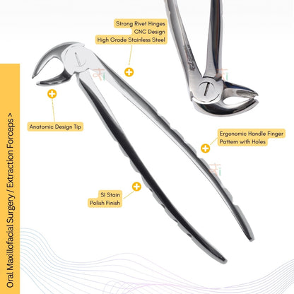 Extraction Tooth Forceps Kit - Premium SI-Stain Polish Finish Surface SI-Ergonomical Holes Handle OR SI-Anatomical Cuts Handle