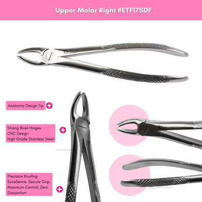 Extraction Tooth Forceps Kit Standard Dull Finish, Set of 12 Pcs #ETFK12SDF