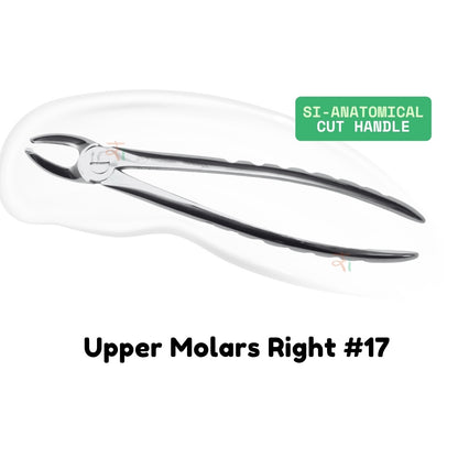 Extraction Tooth Forceps Kit - Premium SI-Stain Polish Finish Surface SI-Ergonomical Holes Handle OR SI-Anatomical Cuts Handle