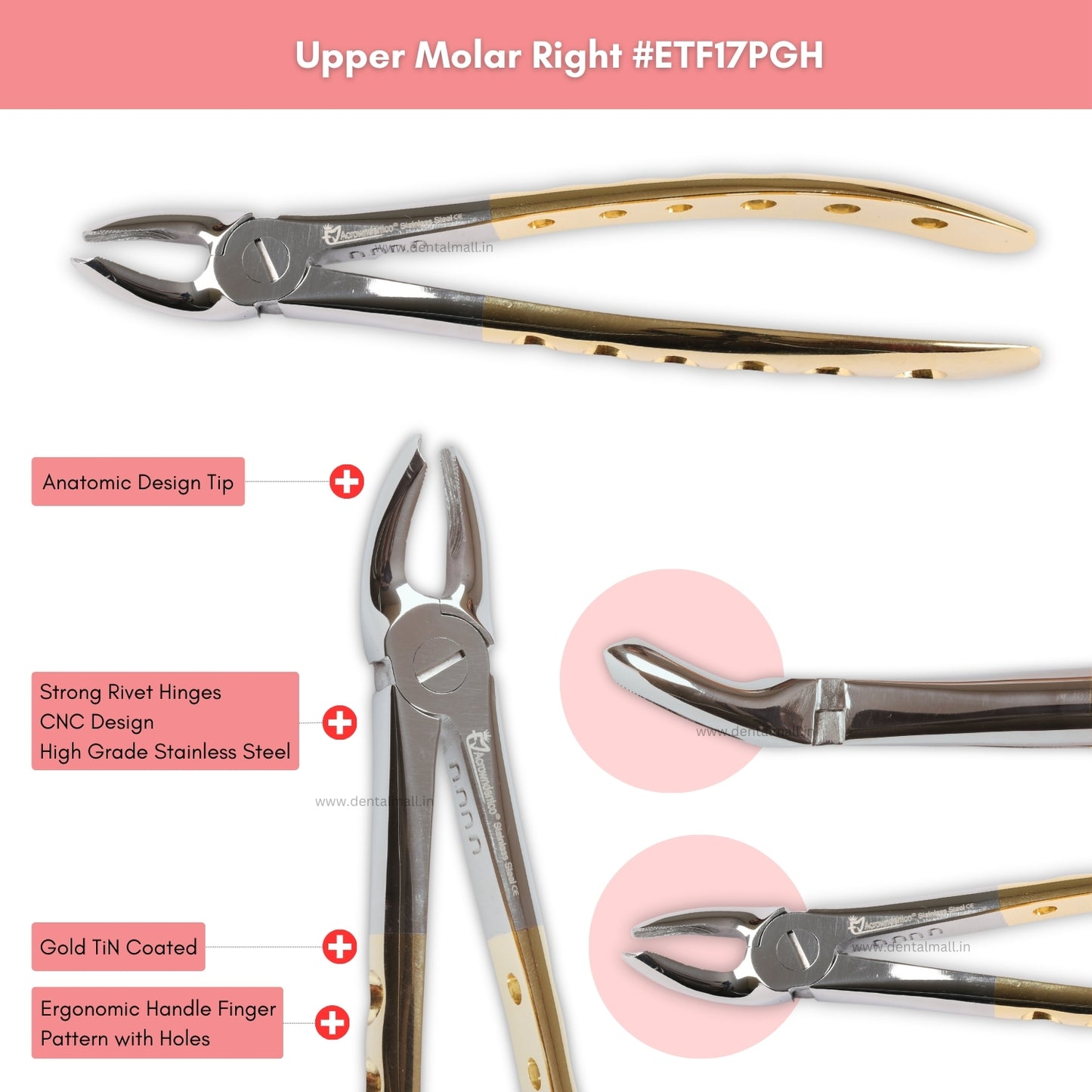 Extraction Tooth Forceps Kit Premium Quality Finger Pattern with Holes Gold TiN Coated Set of 12 Pcs #ETFK12PGH