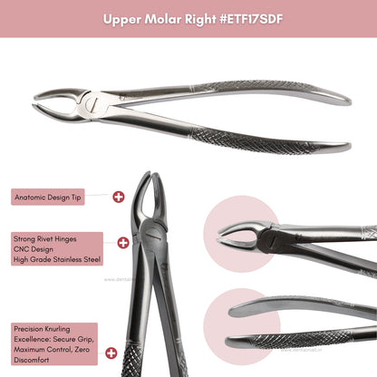 Extraction Tooth Forceps Kit Standard Dull Finish, Set of 14 Pcs #ETFK14SDF