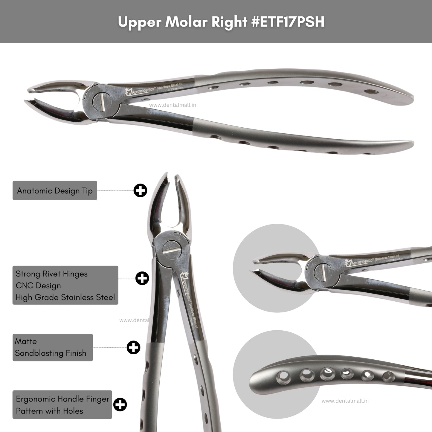 Extraction Tooth Forceps Kit Premium Quality Finger Pattern with Holes Handle Matte Sandblasting Set of 12 Pcs