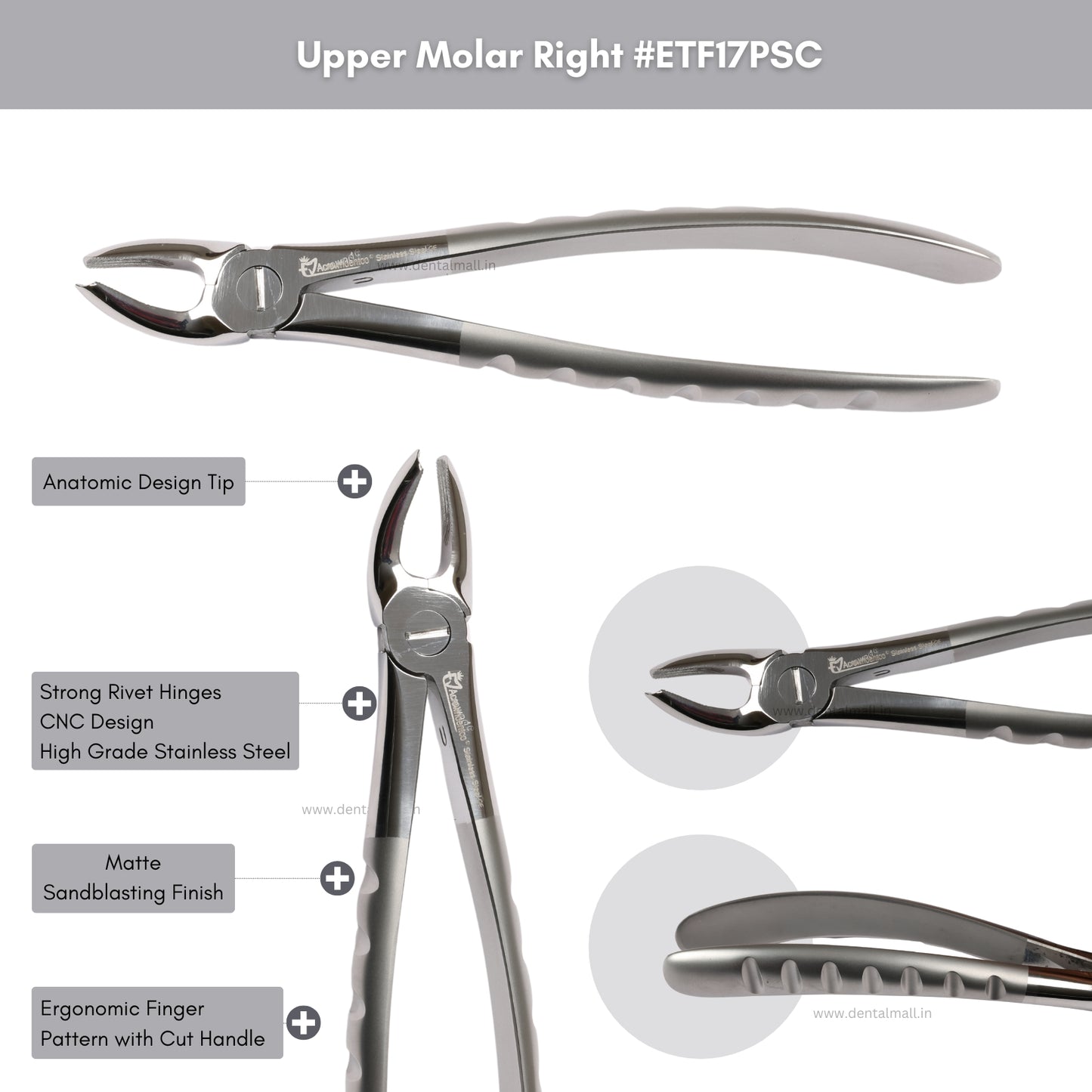 Extraction Tooth Forceps Kit Premium Quality Finger Pattern with Cut Handle Matte Sandblasting Finish, Set of 12 Pcs