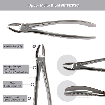 Extraction Tooth Forceps Kit Premium Quality Finger Pattern with Cut Handle Matte Sandblasting Finish, Set of 12 Pcs