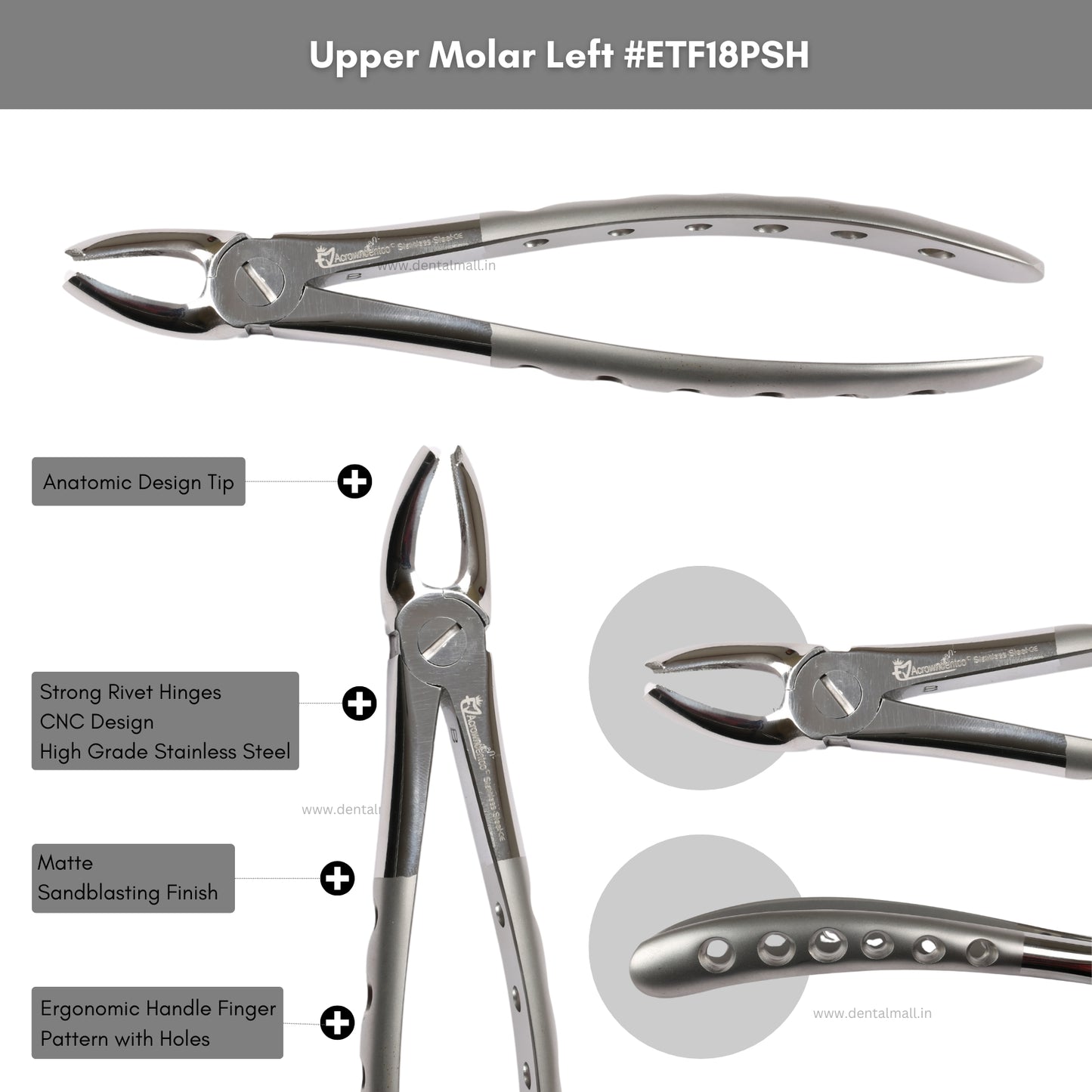 Extraction Tooth Forceps Kit Premium Quality Finger Pattern with Holes Handle Matte Sandblasting Set of 12 Pcs