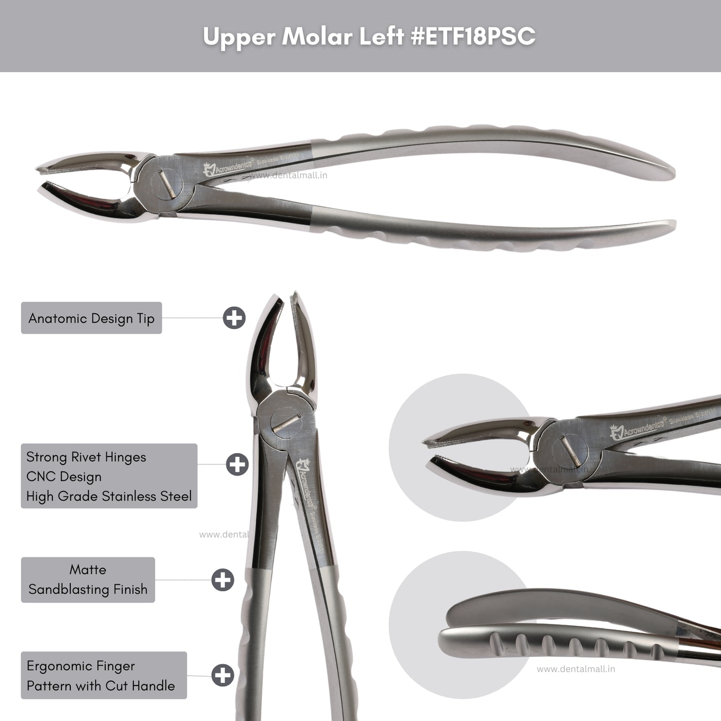 Extraction Tooth Forceps Kit Premium Quality Finger Pattern with Cut Handle Matte Sandblasting Finish, Set of 12 Pcs