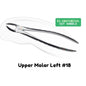 Extraction Tooth Forceps Kit - Premium SI-Stain Polish Finish Surface SI-Ergonomical Holes Handle OR SI-Anatomical Cuts Handle