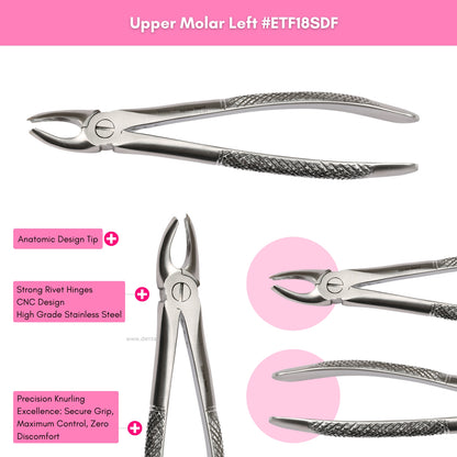 Extraction Tooth Forceps Kit Standard Dull Finish, Set of 12 Pcs #ETFK12SDF