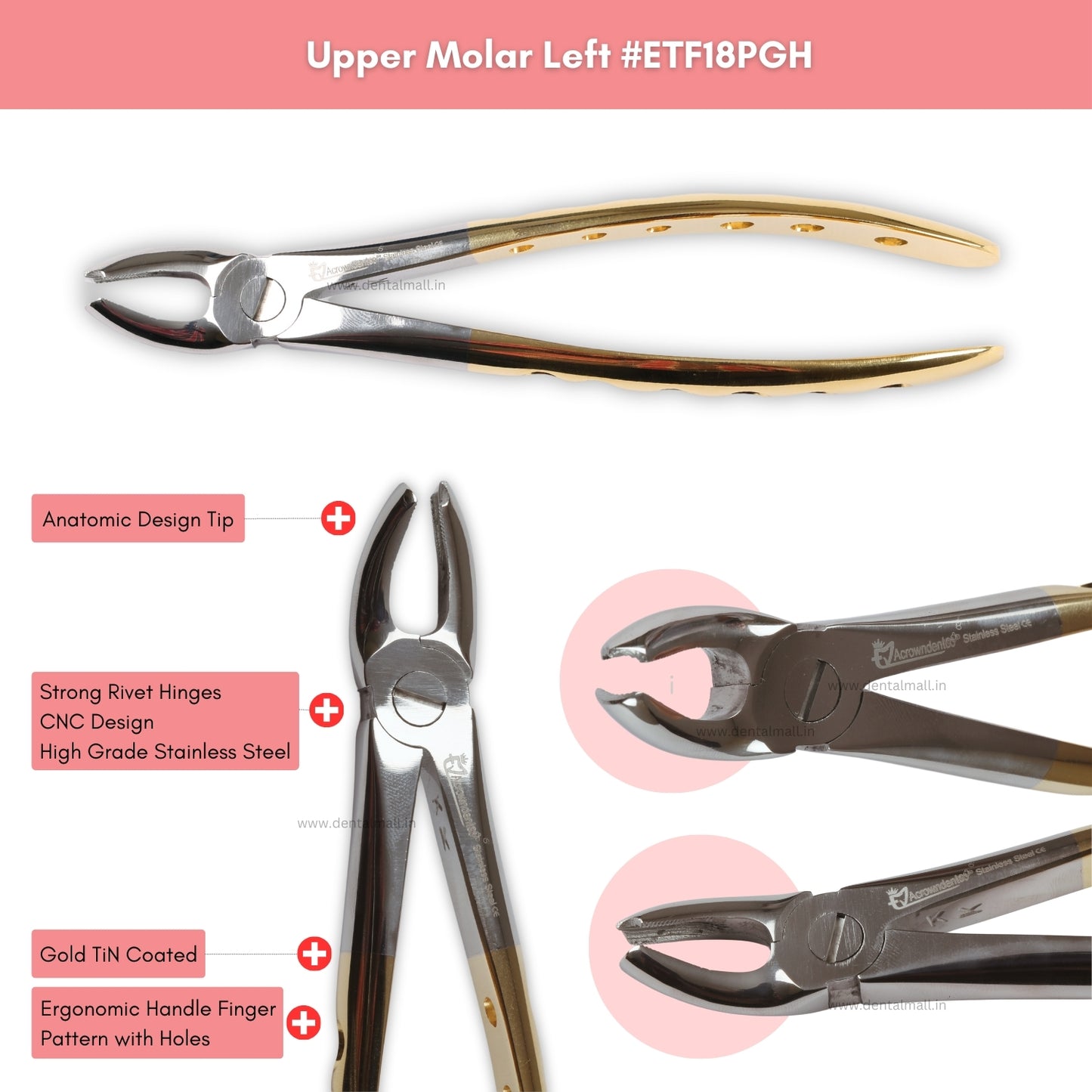 Extraction Tooth Forceps Kit Premium Quality Finger Pattern with Holes Gold TiN Coated Set of 12 Pcs #ETFK12PGH