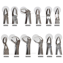 Extraction Tooth Forceps Kit Premium Quality Finger Pattern with Cut Handle Matte Sandblasting Finish, Set of 12 Pcs