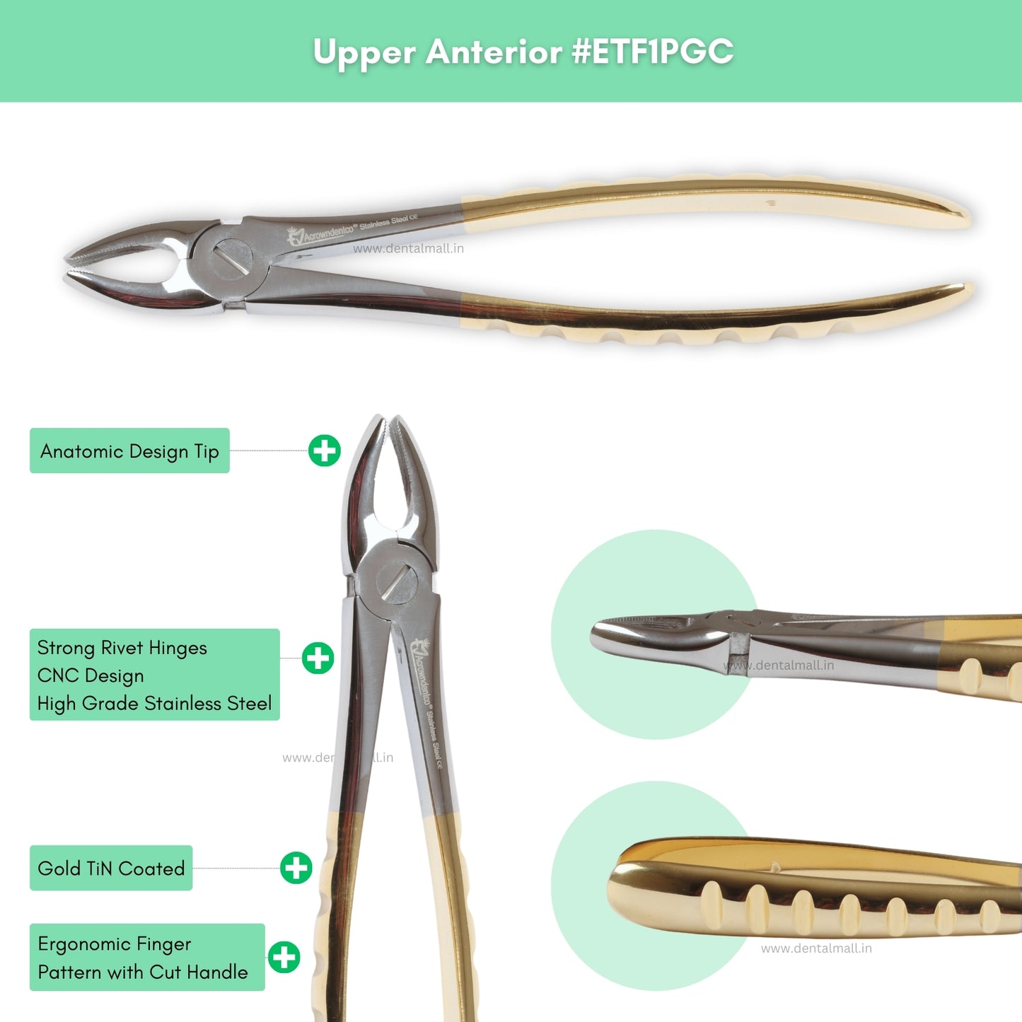 Extraction Tooth Forceps Kit Premium Quality Finger Pattern with Cut Handle Gold TiN Coated, Set of 12 Pcs #ETFK12PGC