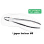 Extraction Tooth Forceps Kit - Premium SI-Stain Polish Finish Surface SI-Ergonomical Holes Handle OR SI-Anatomical Cuts Handle