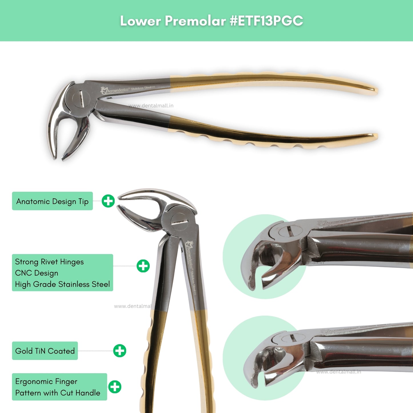 Extraction Tooth Forceps Kit Premium Quality Finger Pattern with Cut Handle Gold TiN Coated, Set of 12 Pcs #ETFK12PGC