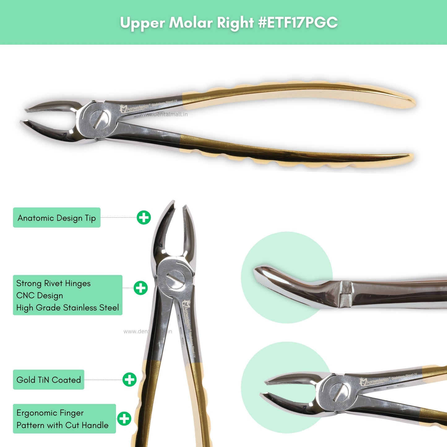 Extraction Tooth Forceps Kit Premium Quality Finger Pattern with Cut Handle Gold TiN Coated, Set of 12 Pcs #ETFK12PGC