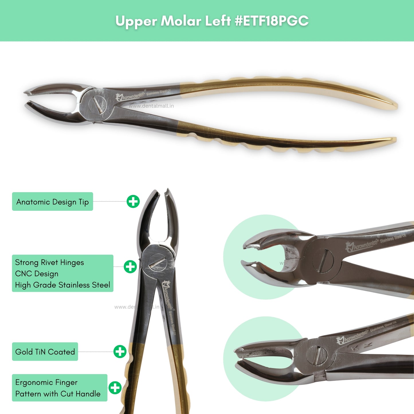 Extraction Tooth Forceps Kit Premium Quality Finger Pattern with Cut Handle Gold TiN Coated, Set of 12 Pcs #ETFK12PGC