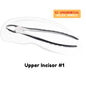 Extraction Tooth Forceps Kit - Premium SI-Stain Polish Finish Surface SI-Ergonomical Holes Handle OR SI-Anatomical Cuts Handle