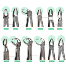 Extraction Tooth Forceps Kit Premium Quality Finger Pattern with Cut Handle Gold TiN Coated, Set of 12 Pcs #ETFK12PGC