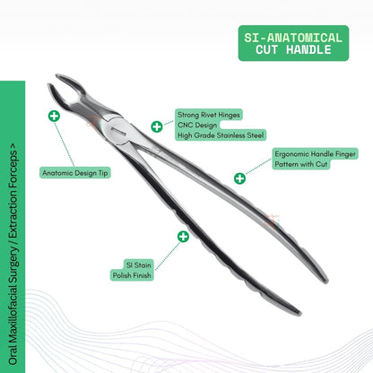Extraction Tooth Forceps Kit - Premium SI-Stain Polish Finish Surface SI-Ergonomical Holes Handle OR SI-Anatomical Cuts Handle