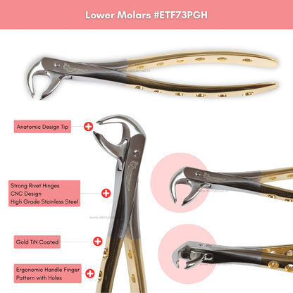 Extraction Tooth Forceps Kit Premium Quality Finger Pattern with Holes Gold TiN Coated Set of 12 Pcs #ETFK12PGH