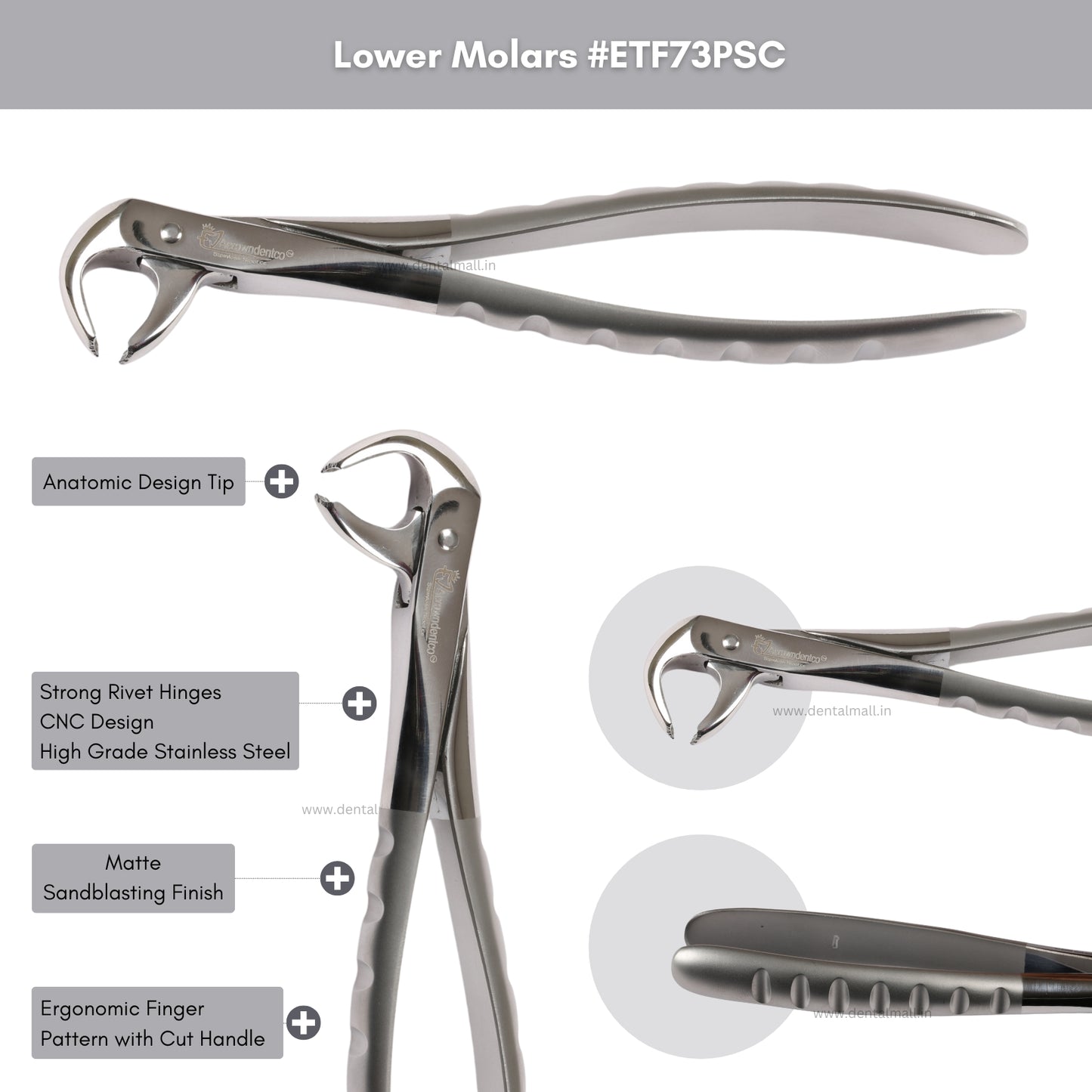 Extraction Tooth Forceps Kit Premium Quality Finger Pattern with Cut Handle Matte Sandblasting Finish, Set of 12 Pcs