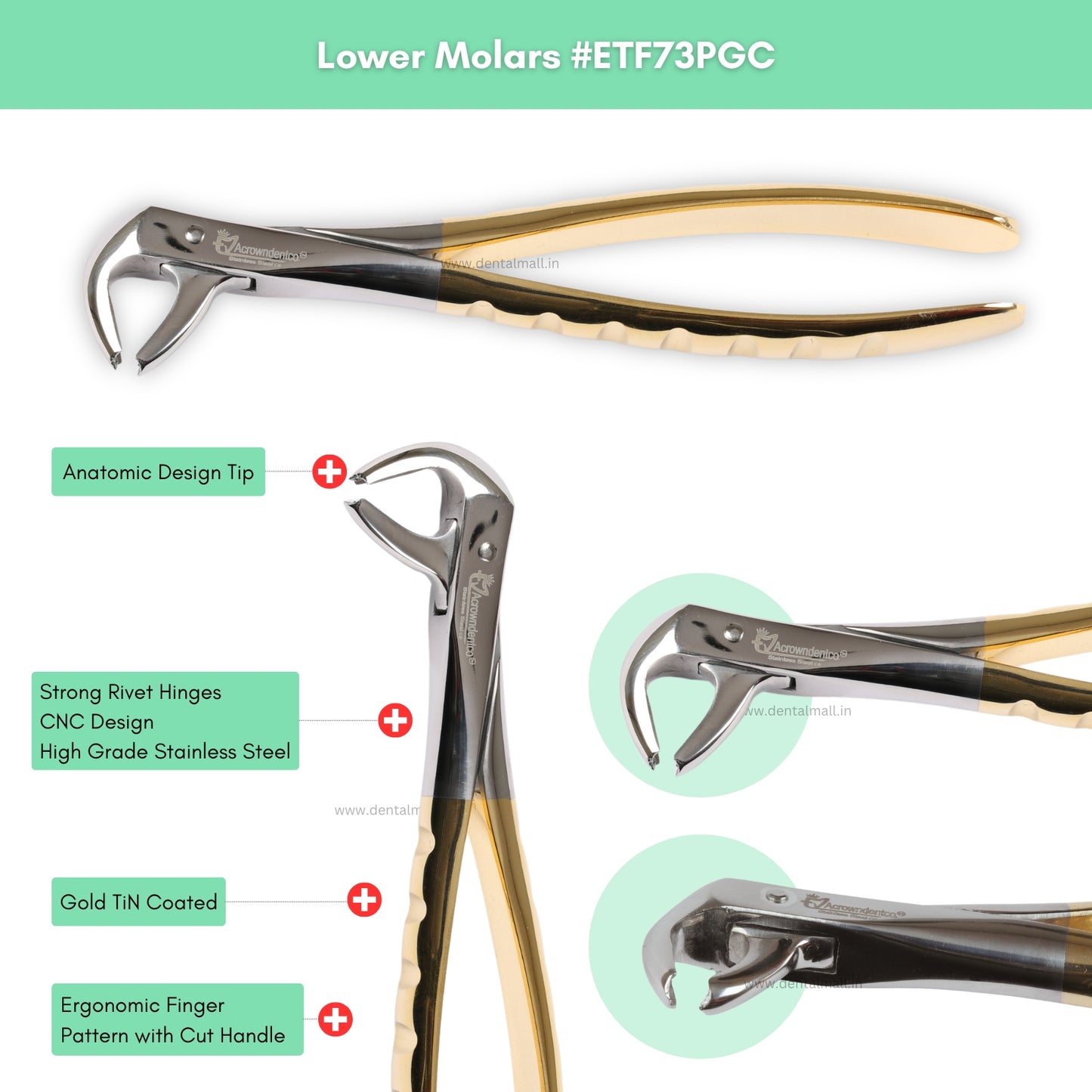 Extraction Tooth Forceps Kit Premium Quality Finger Pattern with Cut Handle Gold TiN Coated, Set of 12 Pcs #ETFK12PGC