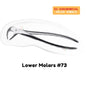 Extraction Tooth Forceps Kit - Premium SI-Stain Polish Finish Surface SI-Ergonomical Holes Handle OR SI-Anatomical Cuts Handle