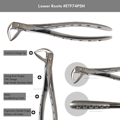 Extraction Tooth Forceps Kit Premium Quality Finger Pattern with Holes Handle Matte Sandblasting Set of 12 Pcs