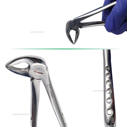 Extraction Tooth Forceps Kit - Premium SI-Stain Polish Finish Surface SI-Ergonomical Holes Handle OR SI-Anatomical Cuts Handle