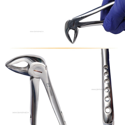 Extraction Tooth Forceps Kit - Premium SI-Stain Polish Finish Surface SI-Ergonomical Holes Handle OR SI-Anatomical Cuts Handle