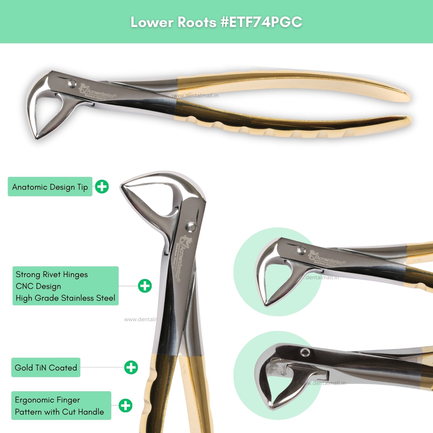 Extraction Tooth Forceps Kit Premium Quality Finger Pattern with Cut Handle Gold TiN Coated, Set of 12 Pcs #ETFK12PGC