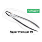 Extraction Tooth Forceps Kit - Premium SI-Stain Polish Finish Surface SI-Ergonomical Holes Handle OR SI-Anatomical Cuts Handle