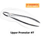Extraction Tooth Forceps Kit - Premium SI-Stain Polish Finish Surface SI-Ergonomical Holes Handle OR SI-Anatomical Cuts Handle
