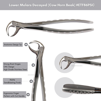 Extraction Tooth Forceps Kit Premium Quality Finger Pattern with Cut Handle Matte Sandblasting Finish, Set of 12 Pcs