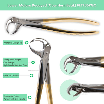 Extraction Tooth Forceps Kit Premium Quality Finger Pattern with Cut Handle Gold TiN Coated, Set of 12 Pcs #ETFK12PGC