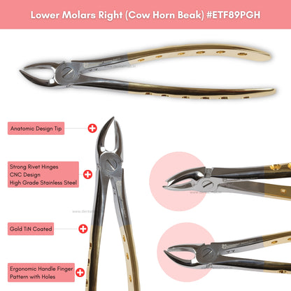 Extraction Tooth Forceps Kit Premium Quality Finger Pattern with Holes Gold TiN Coated Set of 12 Pcs #ETFK12PGH