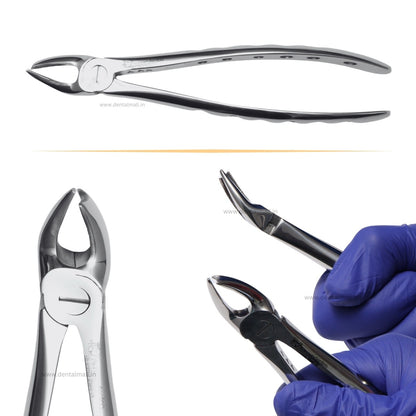 Extraction Tooth Forceps Kit - Premium SI-Stain Polish Finish Surface SI-Ergonomical Holes Handle OR SI-Anatomical Cuts Handle