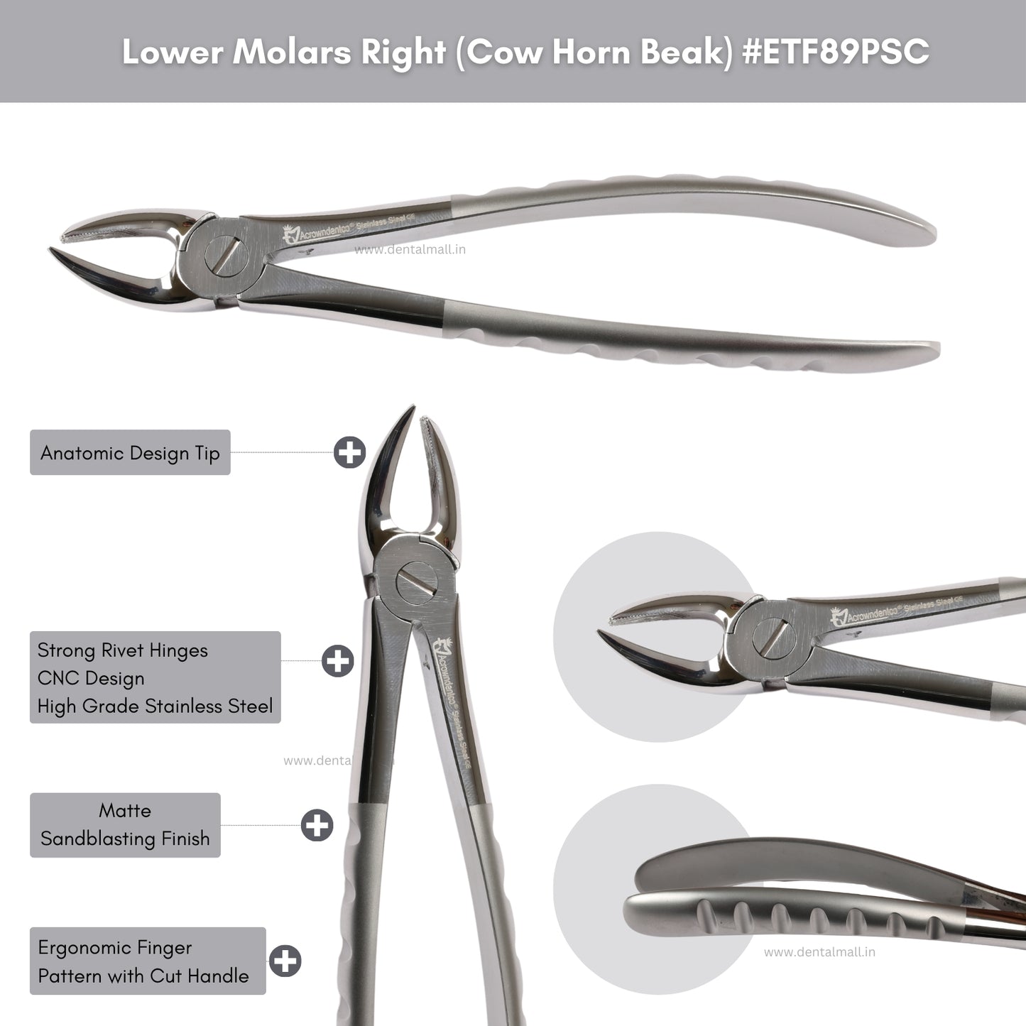 Extraction Tooth Forceps Kit Premium Quality Finger Pattern with Cut Handle Matte Sandblasting Finish, Set of 12 Pcs