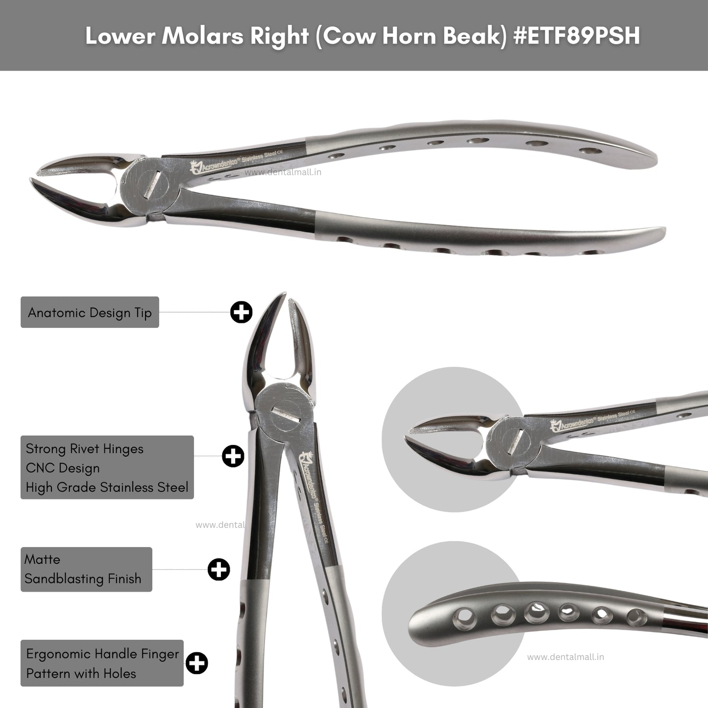 Extraction Tooth Forceps Kit Premium Quality Finger Pattern with Holes Handle Matte Sandblasting Set of 12 Pcs