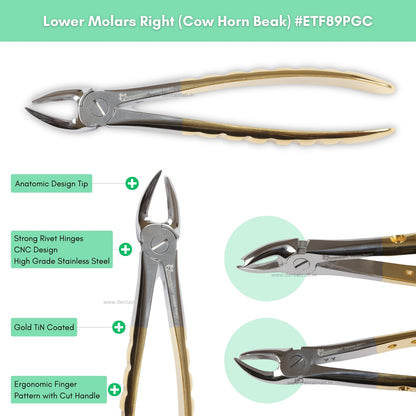 Extraction Tooth Forceps Kit Premium Quality Finger Pattern with Cut Handle Gold TiN Coated, Set of 12 Pcs #ETFK12PGC