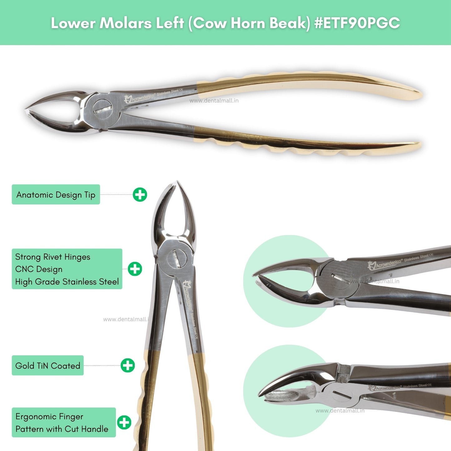 Extraction Tooth Forceps Kit Premium Quality Finger Pattern with Cut Handle Gold TiN Coated, Set of 12 Pcs #ETFK12PGC