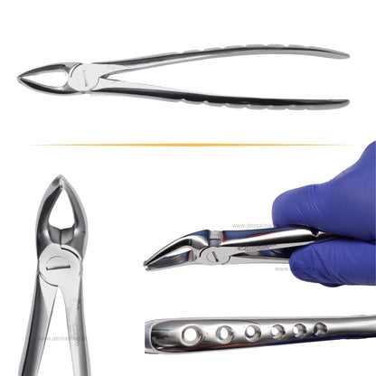 Extraction Tooth Forceps Kit - Premium SI-Stain Polish Finish Surface SI-Ergonomical Holes Handle OR SI-Anatomical Cuts Handle