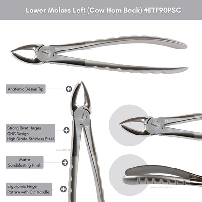 Extraction Tooth Forceps Kit Premium Quality Finger Pattern with Cut Handle Matte Sandblasting Finish, Set of 12 Pcs