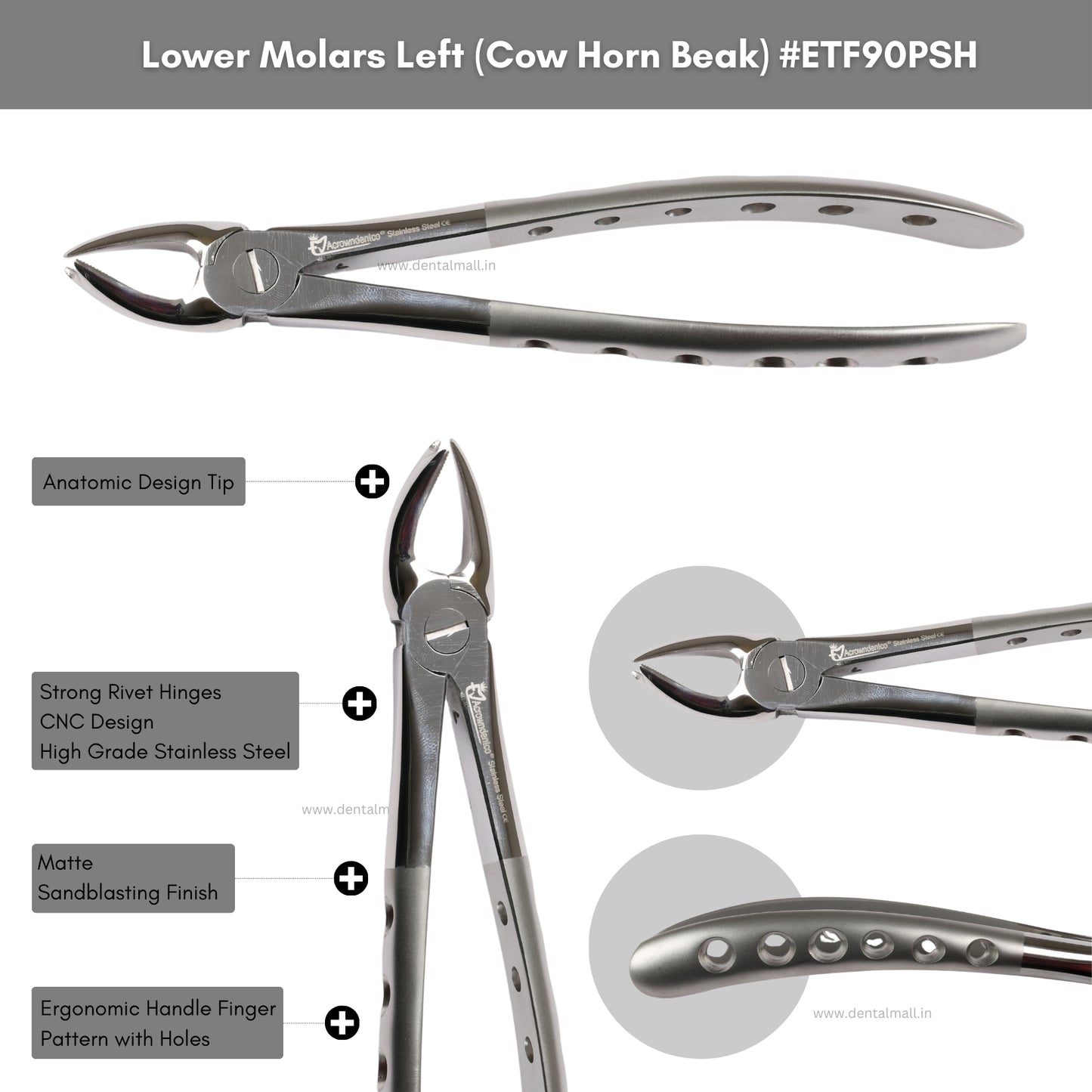 Extraction Tooth Forceps Kit Premium Quality Finger Pattern with Holes Handle Matte Sandblasting Set of 12 Pcs